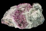 Cobaltoan Calcite Crystal Cluster - Bou Azzer, Morocco #161170-2